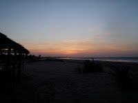 PA310354 1 - Cris Around the World