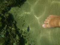 Salvador Bahia 2848829 - Cris Pelo Mundo