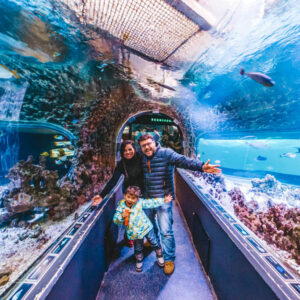 AQUARIUM DE BERGEN DET NASJONALE AKVARIET BERGEN AVEC ENFANTS NORVÈGE CRISSTILBEN CRISPELOMUNDO PROGRAMME TÉLÉVISÉ VOYAGE EN FAMILLE