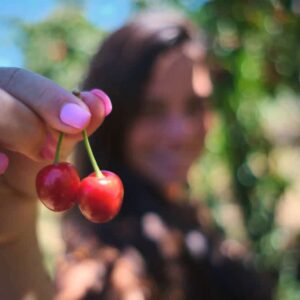 FUNDAO ET LES CERISES DU PORTUGAL CRISPELOMUNDO MEILLEUR BLOG