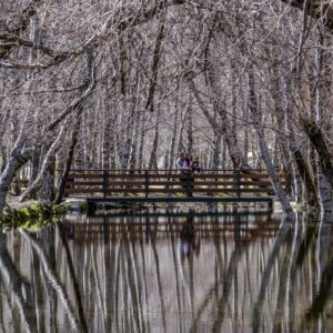 SERRA DA ESTRELA COVAO DO AMETADE