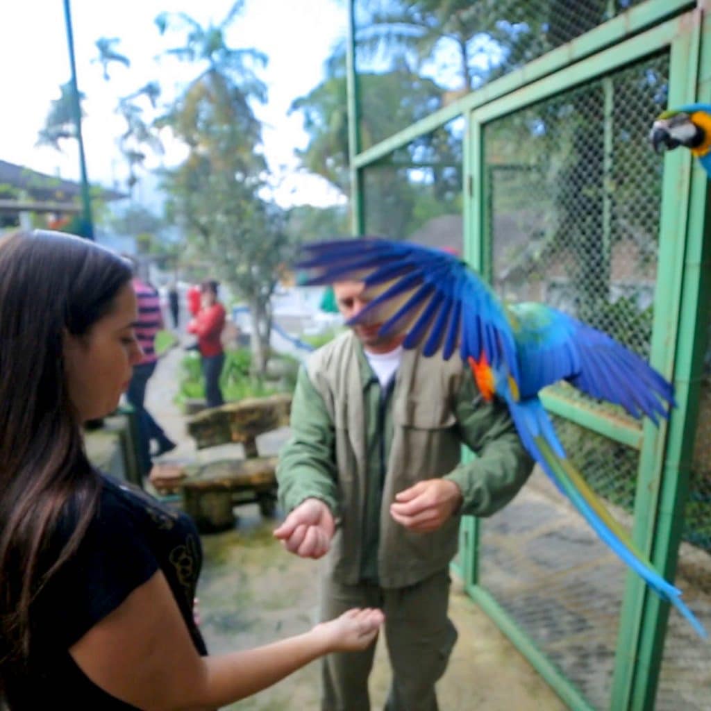 Pousda Terê Parque Cris Stilben Cris por el Mundo Encuentro de Viajeros en Teresópolis (35)