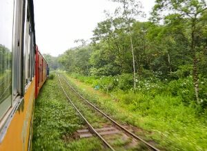 Viaje en tren de curitiba a morretes crisstilben crispelomundo (5)